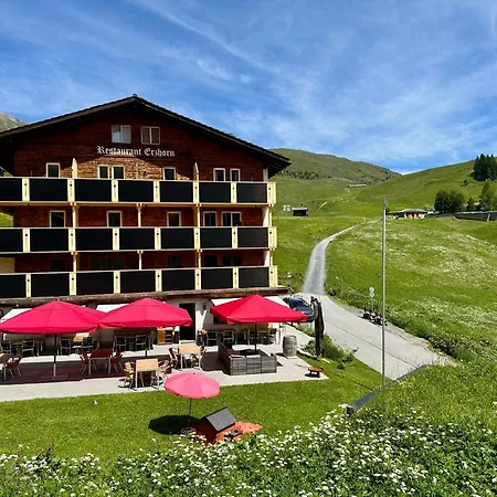 Otel Erzhorn 2*