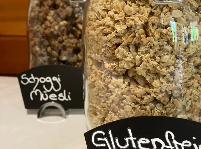 ホテル Erzhorn 2*