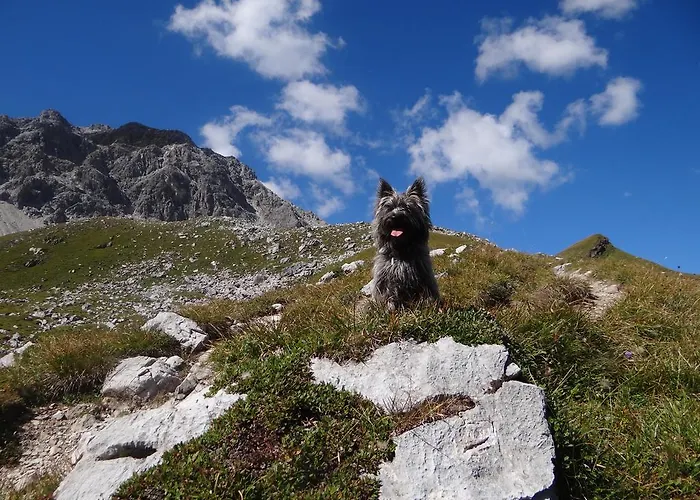 ホテル Erzhorn 2*