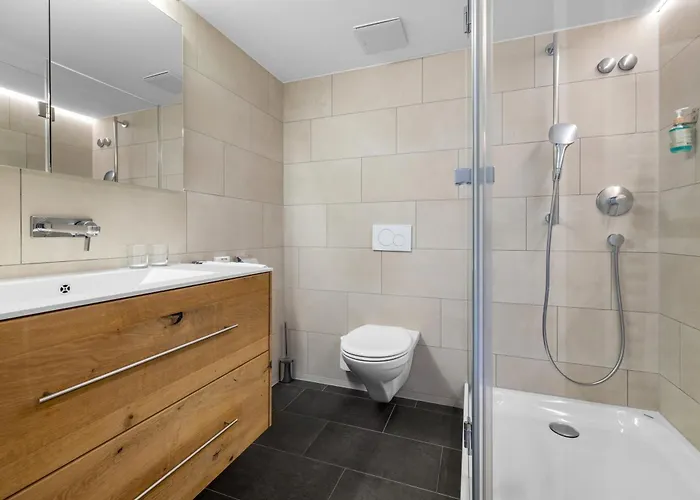 ホテル Erzhorn 2*