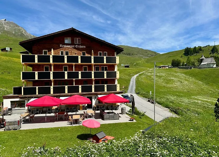 ホテル Erzhorn 2*